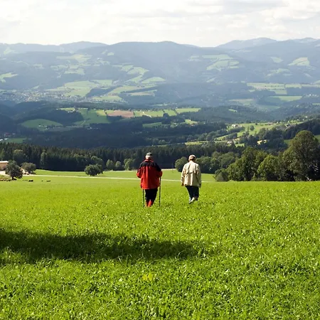 Wildwiesenhof 3* Miesenbach (Styria)