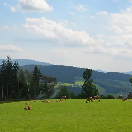 Inn Wildwiesenhof Miesenbach (Styria)