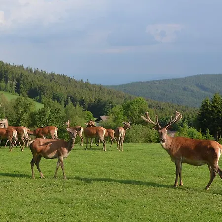Wildwiesenhof 3*