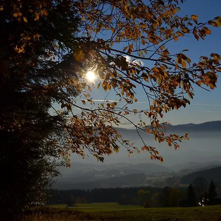 Han/Misafirhane Wildwiesenhof