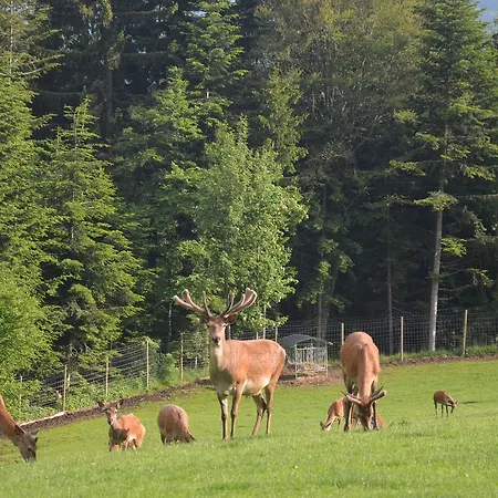 Gasthof Wildwiesenhof 3*