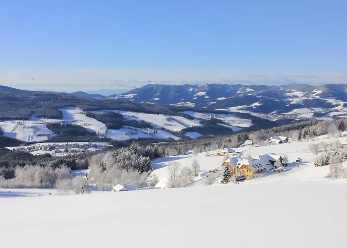 Мини-отель Wildwiesenhof 3*