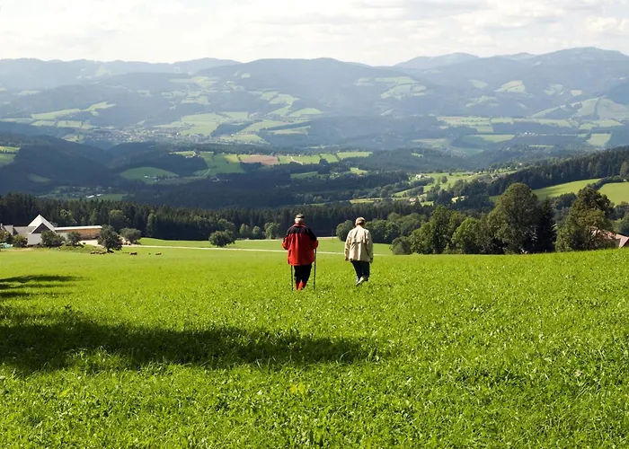 Wildwiesenhof 3* Miesenbach (Styria)