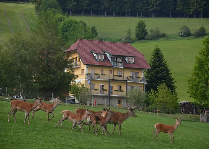 Wildwiesenhof Мини-отель