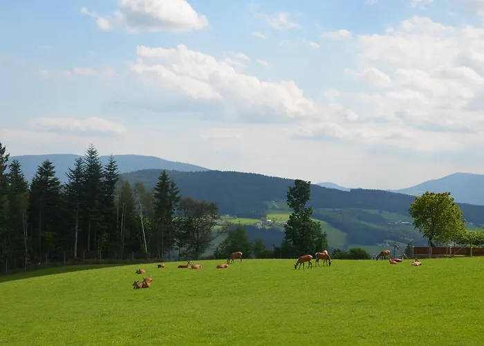 Мини-отель Wildwiesenhof Miesenbach (Styria)