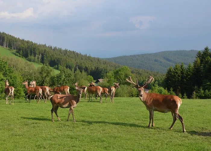Wildwiesenhof 3*