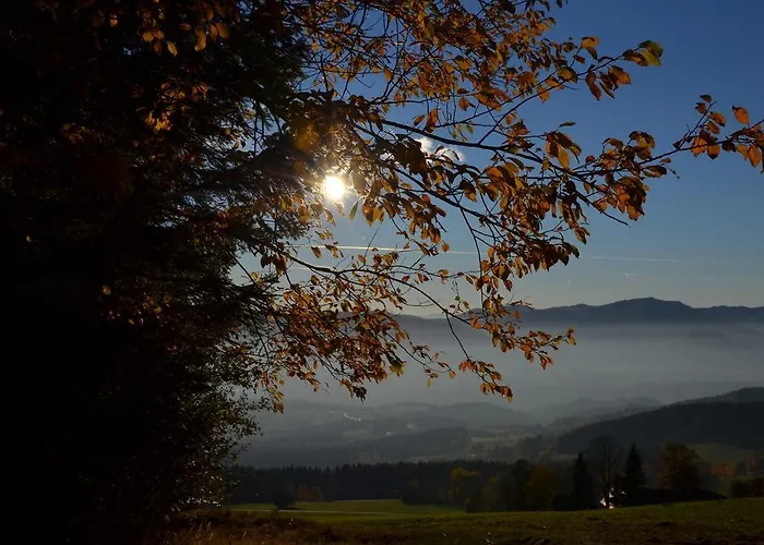 宾馆 Wildwiesenhof