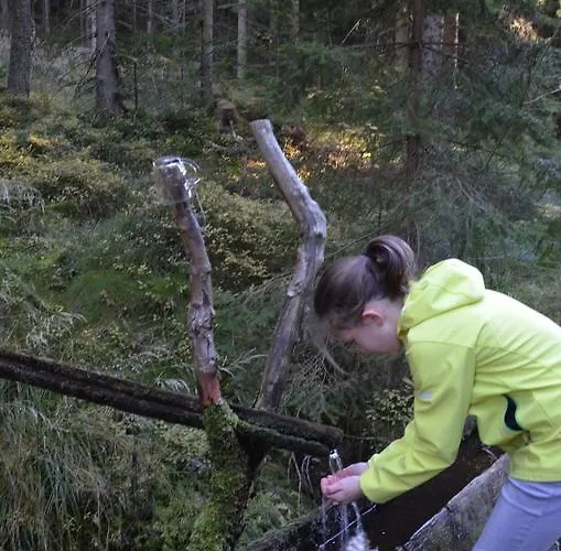 Locanda Wildwiesenhof 3*