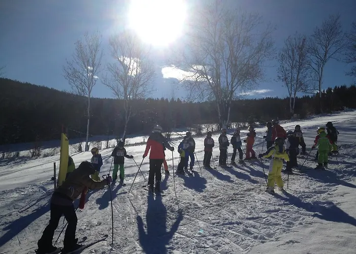 Мини-отель Wildwiesenhof Miesenbach (Styria)